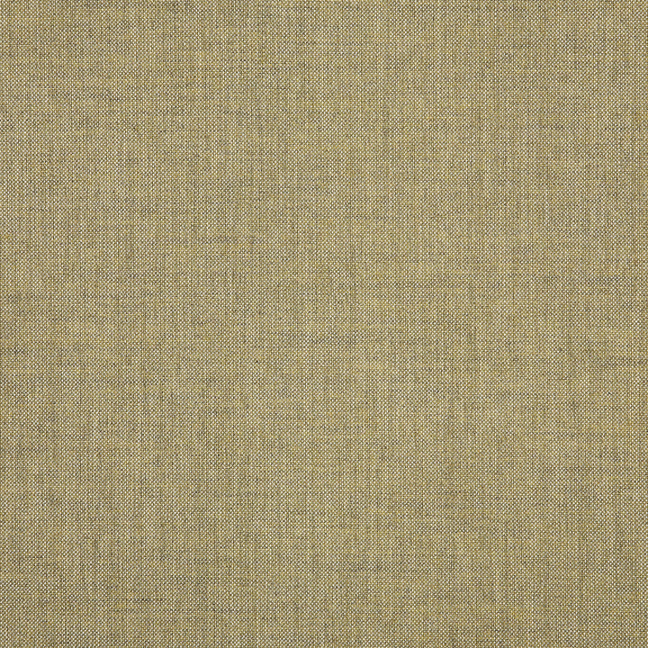 40435 Cast Tinsel by Sunbrella Designer Fabric Sunbrella Acrylic USA or Imported 5-Year Horizontal: and Vertical: 60 yd. 54 in. - Swanky Fabrics -