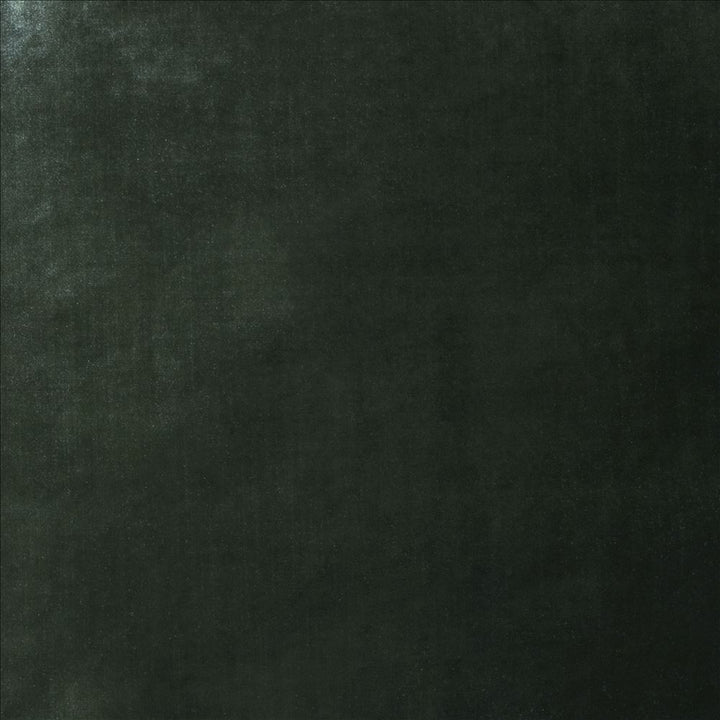 Daring Pine  by Kasmir Designer Fabric 5182 100% Polyester  CHINA  </p><p>Repeat: Horizontal: N/A and Vertical: N/A 55  - Swanky Fabrics -