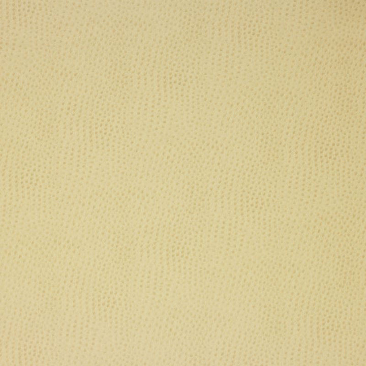 DELANEY.116 by Kravet Design Designer Fabric our website for purchase 100% Leather Korea, Republic of Heavy Horizontal: see sample and Vertical: see sample 54 inches - Swanky Fabrics -