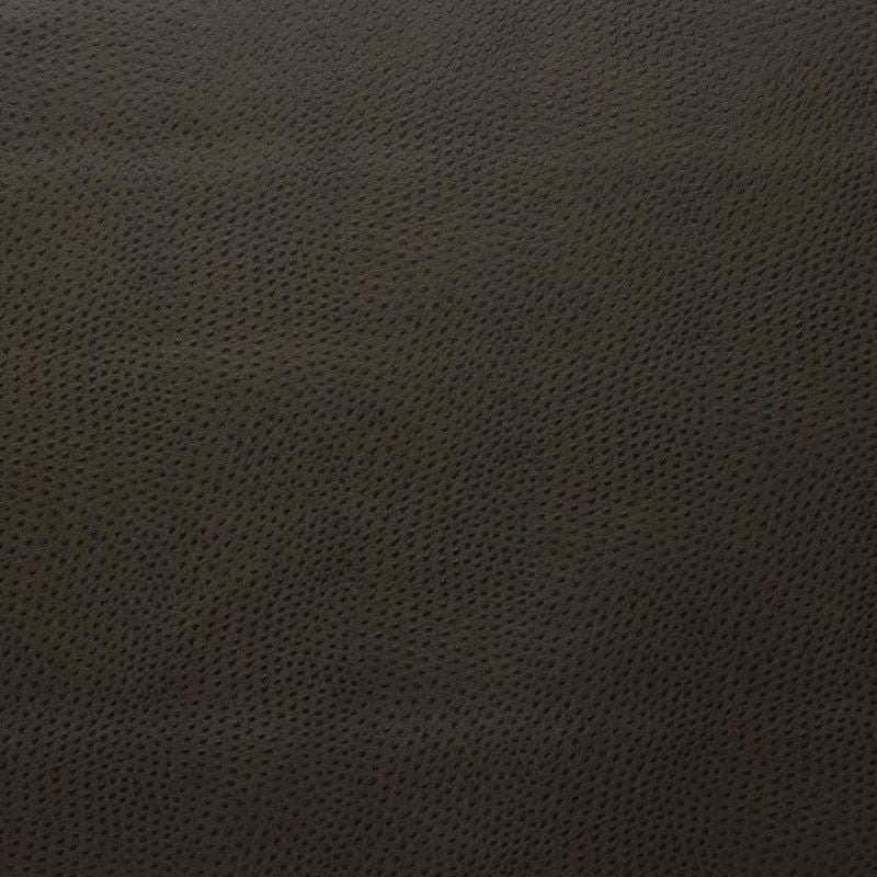 DELANEY.616 by Kravet Design Designer Fabric our website for purchase 100% Leather Korea, Republic of Heavy Horizontal: see sample and Vertical: see sample 54 inches - Swanky Fabrics -