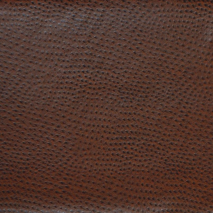 DELANEY.66 by Kravet Design Designer Fabric our website for purchase 100% Leather Korea, Republic of Heavy Horizontal: see sample and Vertical: see sample 54 inches - Swanky Fabrics -