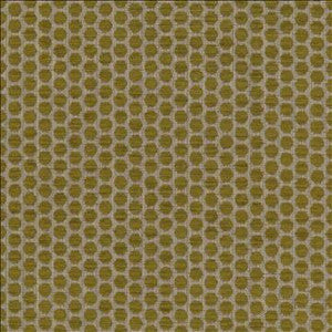 Delightful Dots Sprout by Kasmir Designer Fabric