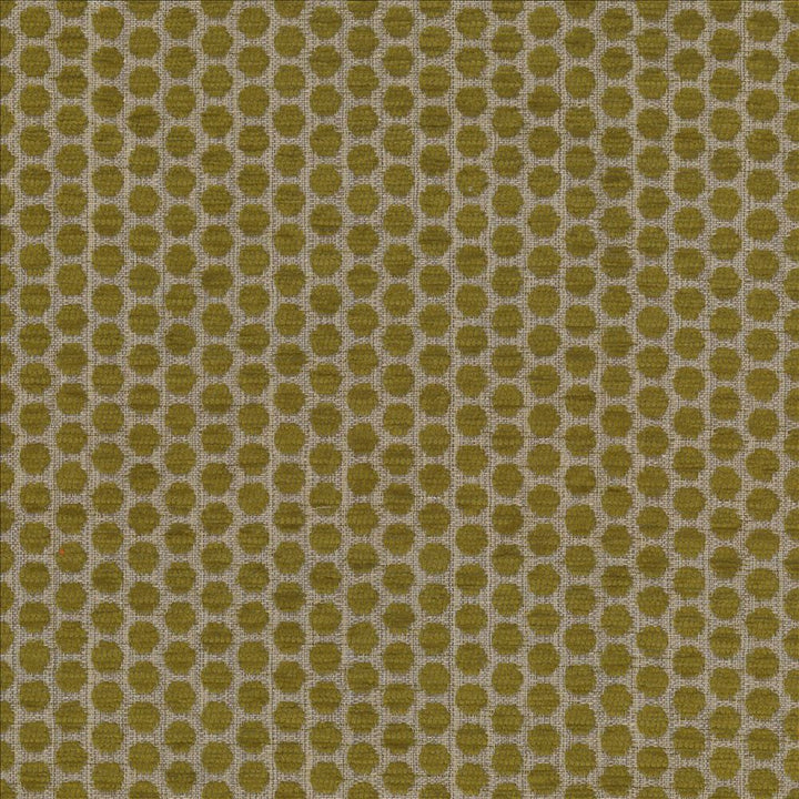 Delightful Dots Sprout by Kasmir Designer Fabric See sample 42% Acrylic
33% Polyester
25% Cotton
 TURKEY 31,000 Martindale Cycles </p><p>Repeat: Horizontal: 1 inches and Vertical: 5/8 inches 54 - Swanky Fabrics -
