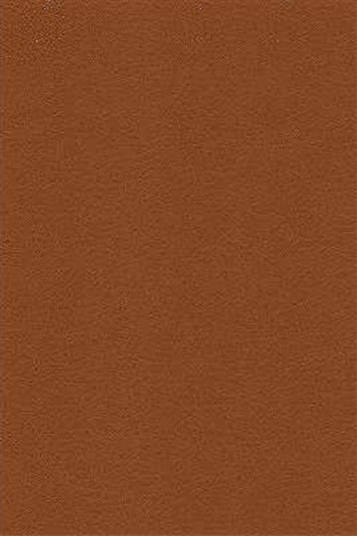 DESIRE.606 by Kravet Design Designer Fabric our website for purchase 100% Leather Japan Heavy Horizontal: see sample and Vertical: see sample 54 inches - Swanky Fabrics -