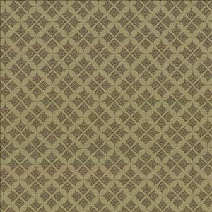 Devi Caper by Kasmir Designer Fabric