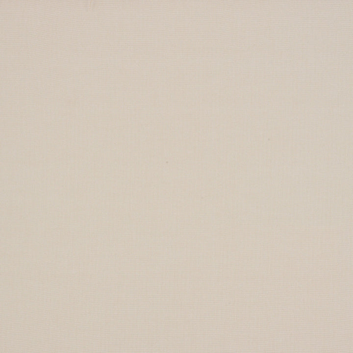 NAT 10021 140 Natt? Canvas by Sunbrella Designer Fabric Sunbrella European Sunbrella? Acrylic, Sunbrella? Polyester USA or Imported 5-Year Horizontal: and Vertical: 55 in. - Swanky Fabrics -