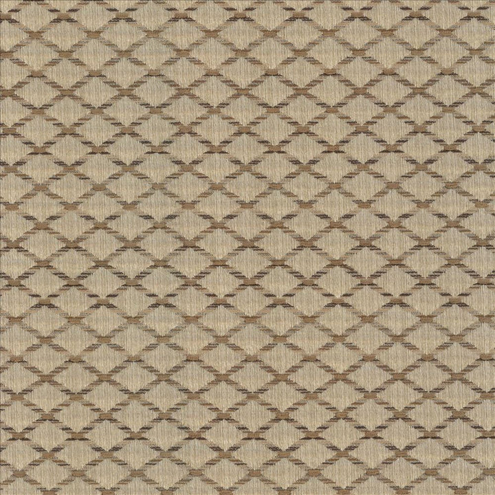 Diamonside Latte by Kasmir Designer Fabric 5083 55% Polyester
45% Rayon
 CHINA </p><p>Repeat: Horizontal: 1 2/8 inches and Vertical: 4/8 inches 55 - Swanky Fabrics -