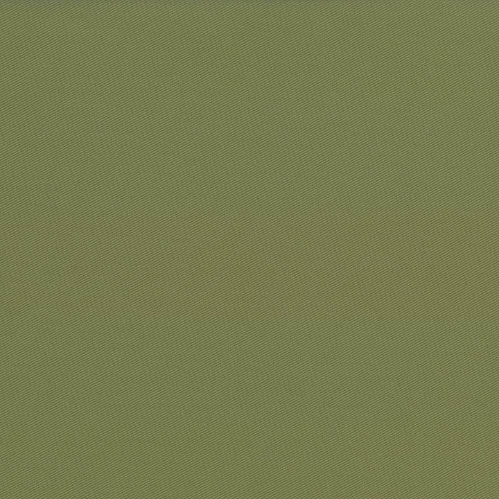 Docksider Basil by Kasmir Designer Fabric 5057 100% Cotton
 USA </p><p>Repeat: Horizontal: N/A and Vertical: N/A 57 - 58 - Swanky Fabrics -