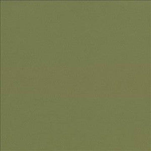 Docksider Basil by Kasmir Designer Fabric