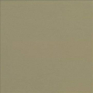 Docksider Khaki by Kasmir Designer Fabric