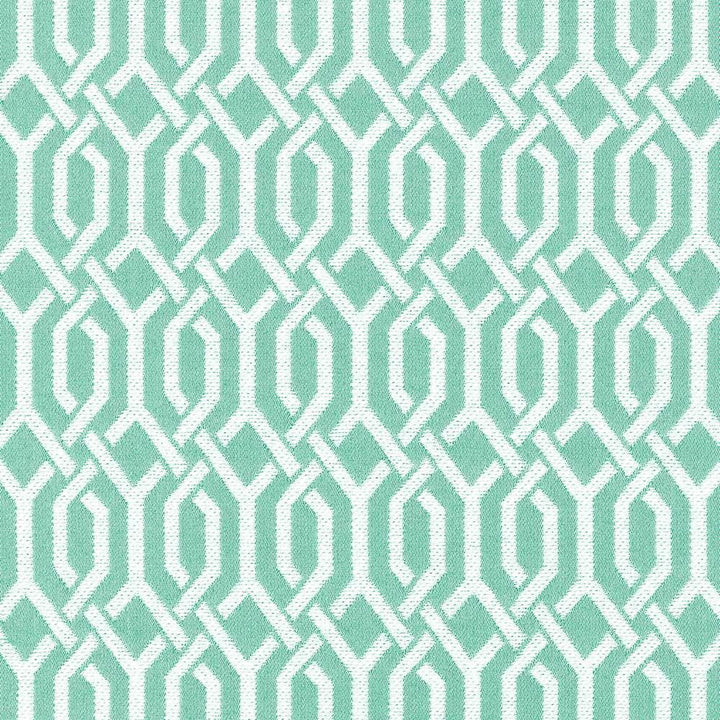 Dont You Fret Mint Julep by Kasmir Designer Fabric 5073 70% Cotton
30% Polyester
 CHINA </p><p>Repeat: Horizontal: 1 4/8 inches and Vertical: 2 3/8 inches 54 - 55 - Swanky Fabrics -