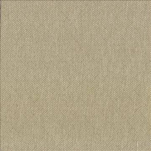 Dream Weaver Oyster by Kasmir Designer Fabric