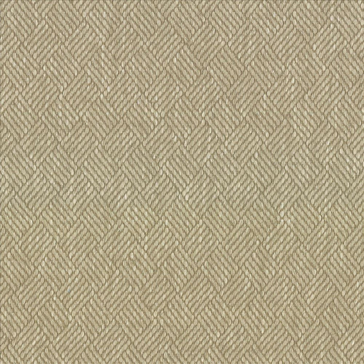 Dream Weaver Oyster by Kasmir Designer Fabric 5083 69% Polyester 31% Cotton USA 50,000 Wyzenbeek Double Rubs Horizontal: 1 3/8 inches and Vertical: 1 1/8 inches 54 - 55 - Swanky Fabrics -