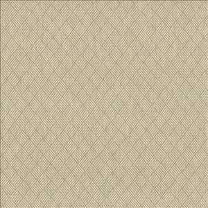 Dream Weaver Pearl by Kasmir Designer Fabric