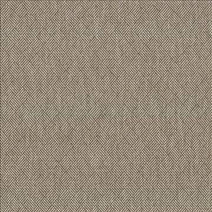 Dream Weaver Zinc by Kasmir Designer Fabric