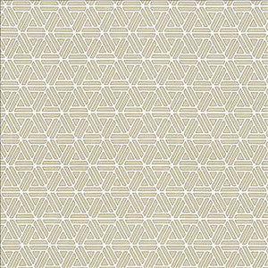 Drive Time Quarry by Kasmir Designer Fabric