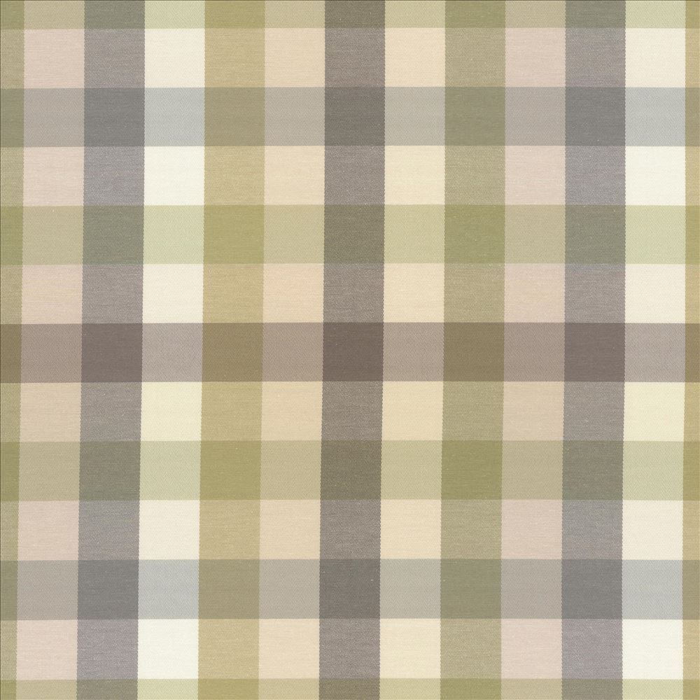 Dupuy Check Grey Garden by Kasmir Designer Fabric 5078 53% Cotton
47% Polyester
 TAIWAN </p><p>Repeat: Horizontal: 13 4/8 inches and Vertical: 13 4/8 inches 55 - Swanky Fabrics -