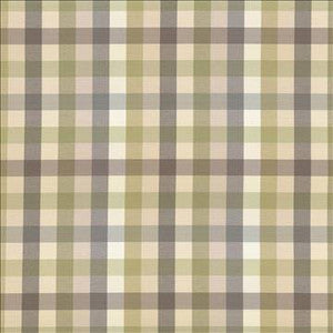 Dupuy Check Grey Garden by Kasmir Designer Fabric