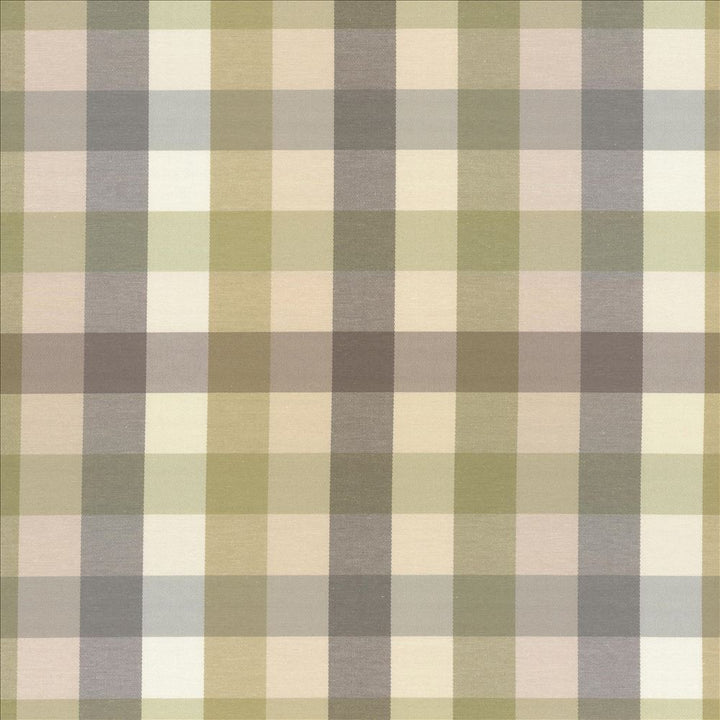 Dupuy Check Grey Garden by Kasmir Designer Fabric 5078 53% Cotton
47% Polyester
 TAIWAN </p><p>Repeat: Horizontal: 13 4/8 inches and Vertical: 13 4/8 inches 55 - Swanky Fabrics -
