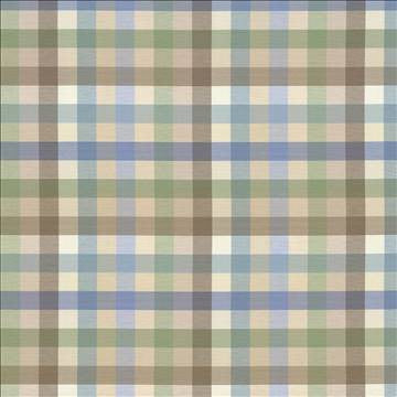 Dupuy Check Mineral by Kasmir Designer Fabric 5082 53% Cotton 47% Polyester TAIWAN 12,000 Wyzenbeek Double Rubs H: 13 4/8 inches, V: 13 4/8 inches 55 - Swanky Fabrics - Kasmir