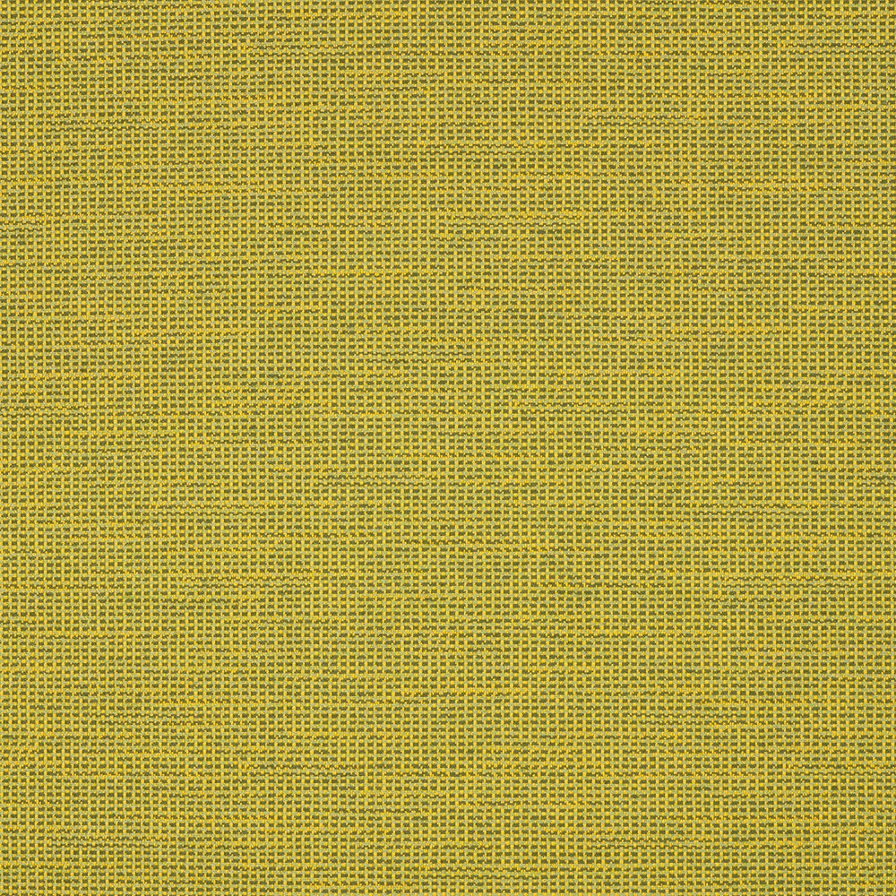 87005-0006 Rally Leaf by Sunbrella Designer Fabric Sunbrella Transcend SunbrellaÂ® Acrylic, SunbrellaÂ® Polyester USA or Imported 5-Year Horizontal: and Vertical: 55 yd. 54 in. - Swanky Fabrics -