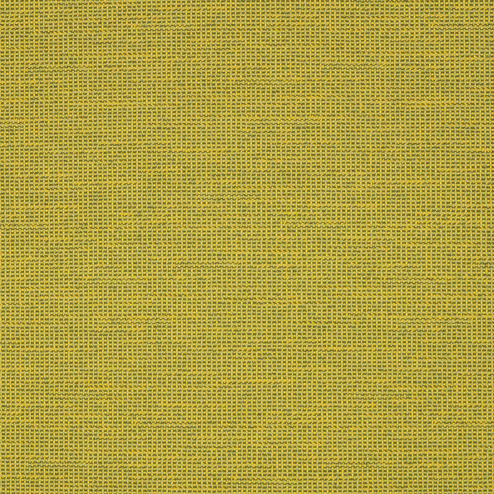 87005-0006 Rally Leaf by Sunbrella Designer Fabric Sunbrella Transcend SunbrellaÂ® Acrylic, SunbrellaÂ® Polyester USA or Imported 5-Year Horizontal: and Vertical: 55 yd. 54 in. - Swanky Fabrics -