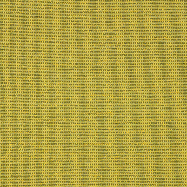 87005-0006 Rally Leaf by Sunbrella Designer Fabric Sunbrella Transcend Sunbrella® Acrylic, Sunbrella® Polyester USA or Imported 5-Year Horizontal: and Vertical: 55 yd. 54 in. - Swanky Fabrics -