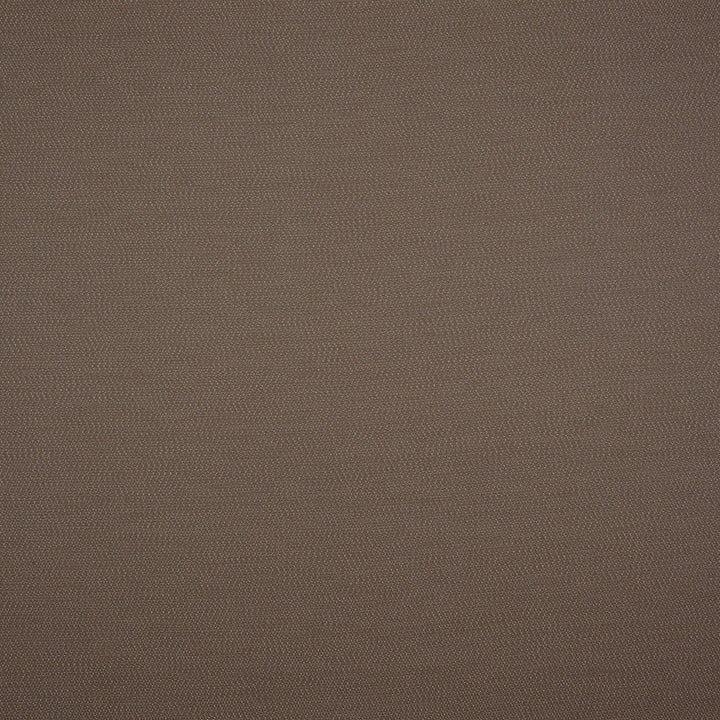 Lopi Coconut R014 by Sunbrella European Designer Fabric Sunbrella® Acrylic, Sunbrella® Polyester Horizontal: and Vertical: 55 in. - Swanky Fabrics -