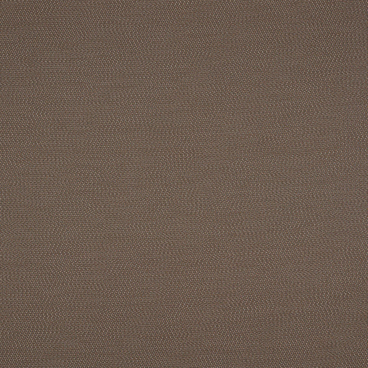 LOP R014 140 Lopi Coconut by Sunbrella Designer Fabric Sunbrella European SunbrellaÂ® Acrylic, SunbrellaÂ® Polyester USA or Imported 5-Year Horizontal: and Vertical: 55 in. - Swanky Fabrics -