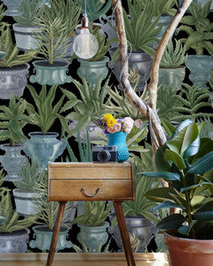 Mind The Gap Wallpaper ECHEVERIA (WP20163)