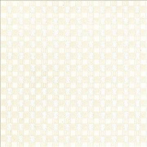 Enmeshed Ivory by Kasmir Designer Fabric