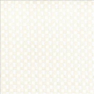 Enmeshed Winter by Kasmir Designer Fabric