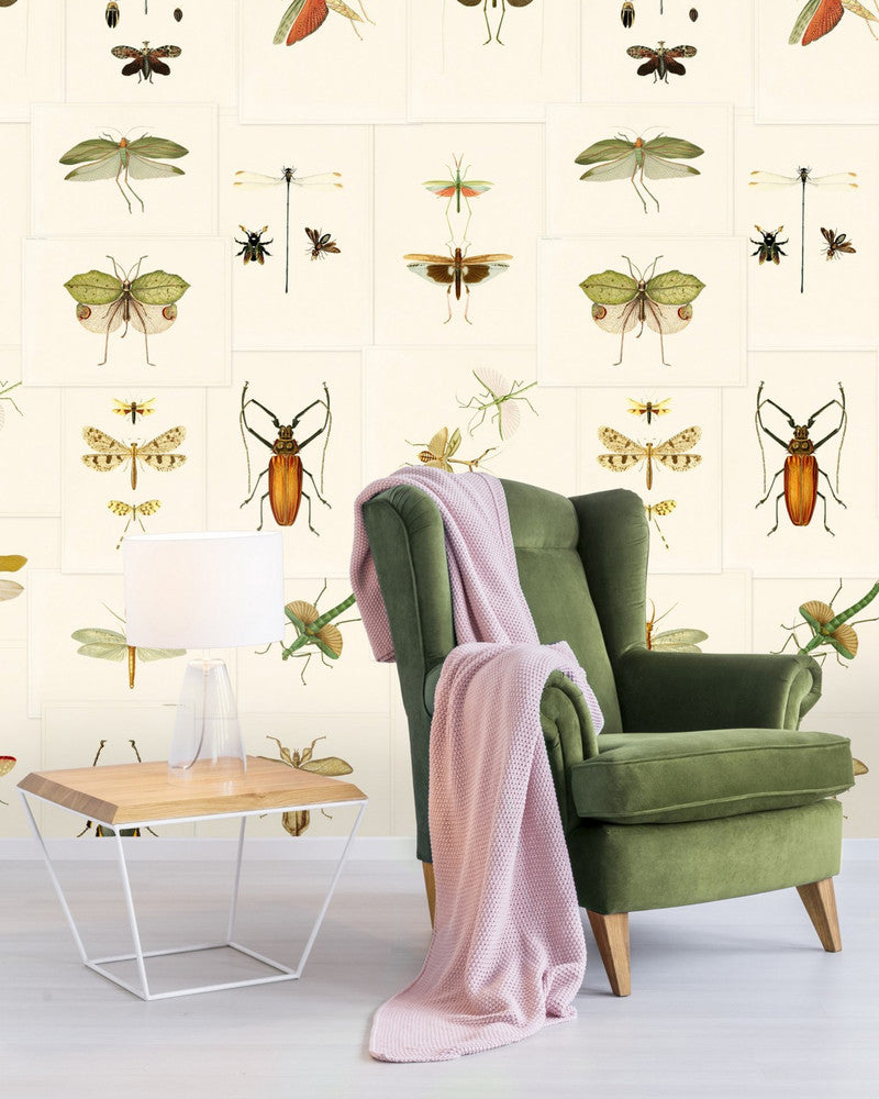 Entomology Wallpaper by Mind the Gap Designer Wallpaper PREMIUM DESIGNER WALLPAPER COLLECTION Non-woven Made in Europe Paste the wall 3 rolls x 20.5 x 3.25 yards - Swanky Fabrics -