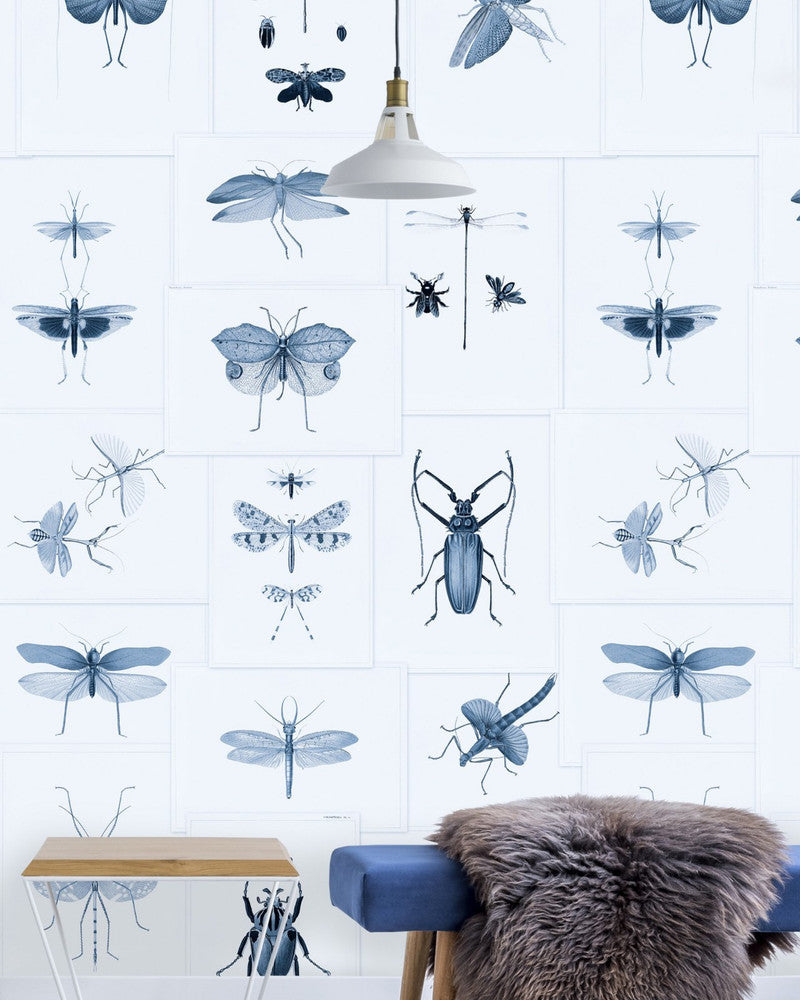 Mind The Gap Wallpaper ENTOMOLOGY Blue Wallpaper (WP20235) | WP20235 | PREMIUM DESIGNER WALLPAPER COLLECTION | 3 rolls x 20.5 x 118.1 in | 0.52m / 20.5in | 3m / 118in | 4.65mp | 300cm / 118in | Blue, Taupe | Non-woven | Paste the wall | 3-rolls in a box | Fabric Carolina | https://www.fabriccarolina.com/