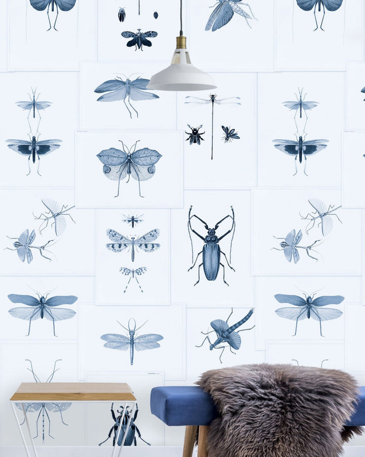 Mind The Gap Wallpaper ENTOMOLOGY Blue Wallpaper (WP20235) | WP20235 | PREMIUM DESIGNER WALLPAPER COLLECTION | 3 rolls x 20.5 x 118.1 in | 0.52m / 20.5in | 3m / 118in | 4.65mp | 300cm / 118in | Blue, Taupe | Non-woven | Paste the wall | 3-rolls in a box | Fabric Carolina | https://www.fabriccarolina.com/
