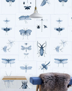 Mind The Gap Wallpaper ENTOMOLOGY Blue Wallpaper (WP20235)