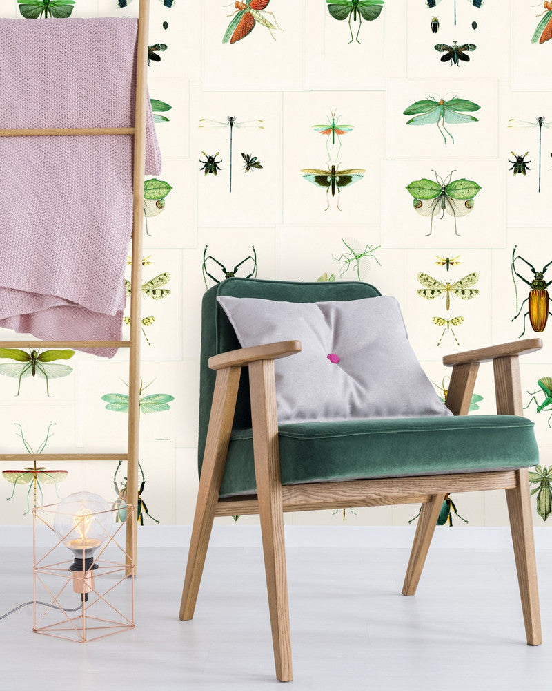 Entomology Green Wallpaper by Mind the Gap Designer Wallpaper PREMIUM DESIGNER WALLPAPER COLLECTION Non-woven Made in Europe Paste the wall 3 rolls x 20.5 x 3.25 yards - Swanky Fabrics -