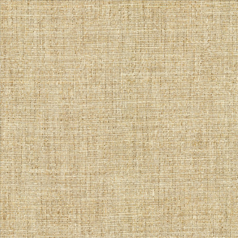 Evangeline Sisal  by Kasmir Designer Fabric 1461 72% Polyester
19% Cotton
9% Rayon
 INDIA 30,000 Wyzenbeek Double Rubs Horizontal: N/A and Vertical: N/A 56  - Swanky Fabrics -