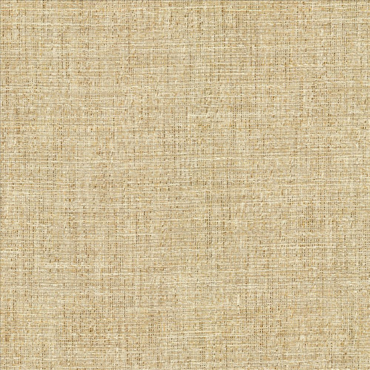 Evangeline Sisal  by Kasmir Designer Fabric 1461 72% Polyester
19% Cotton
9% Rayon
 INDIA 30,000 Wyzenbeek Double Rubs Horizontal: N/A and Vertical: N/A 56  - Swanky Fabrics -