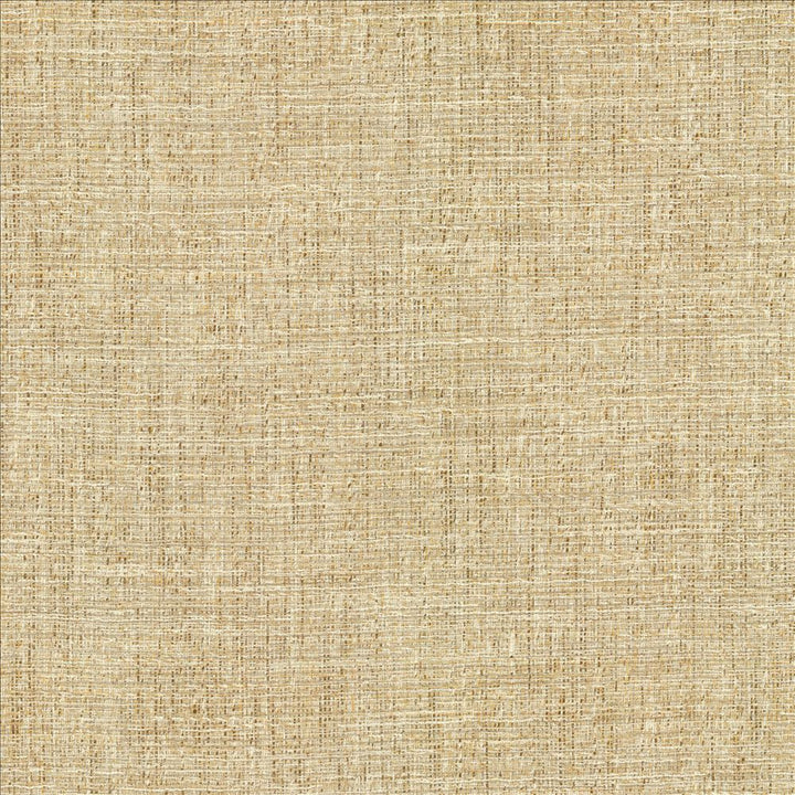 Evangeline Sisal by Kasmir Designer Fabric 1461 72% Polyester
19% Cotton
9% Rayon
 INDIA 30,000 Wyzenbeek Double Rubs </p><p>Repeat: Horizontal: N/A and Vertical: N/A 56 - Swanky Fabrics -