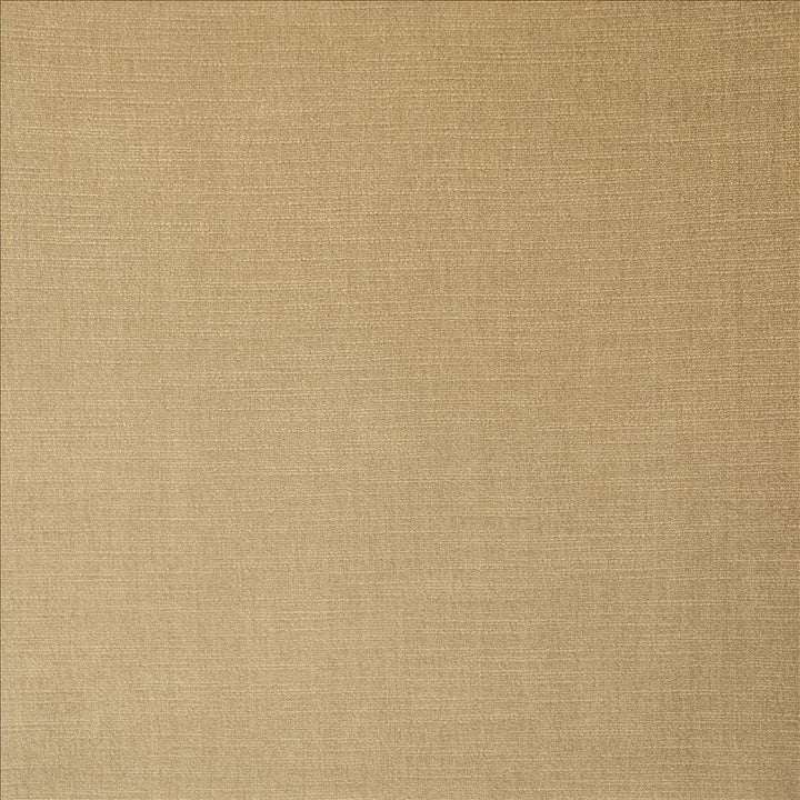 Evermore Barley by Kasmir Designer Fabric 5179 100% Polyester
 INDIA 60,000 Wyzenbeek Double Rubs </p><p>Repeat: Horizontal: N/A and Vertical: N/A 54 - Swanky Fabrics -