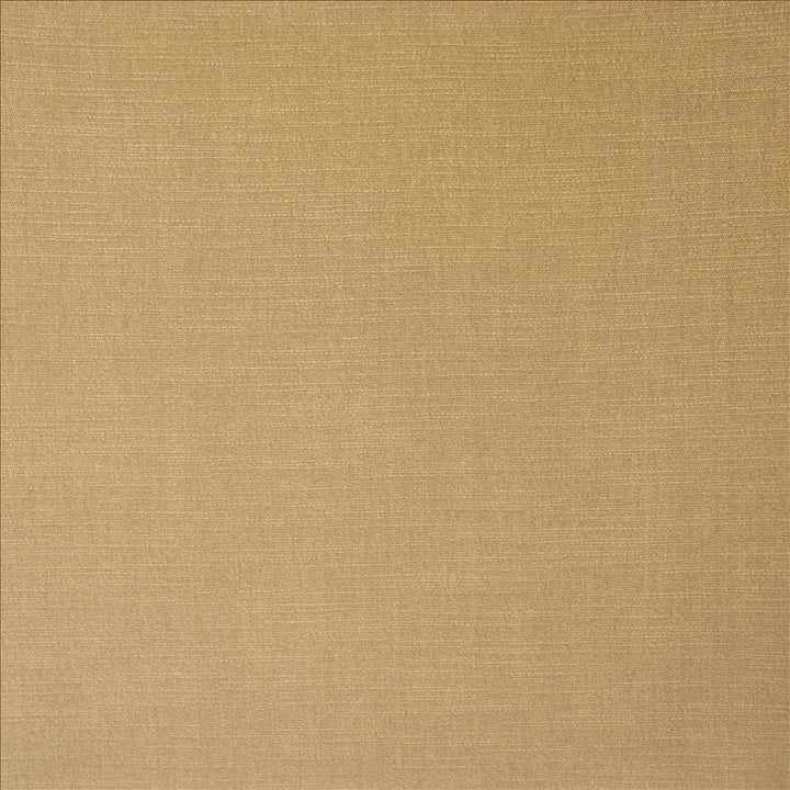 Evermore Beige by Kasmir Designer Fabric 5179 100% Polyester
 INDIA 60,000 Wyzenbeek Double Rubs </p><p>Repeat: Horizontal: N/A and Vertical: N/A 54 - Swanky Fabrics -