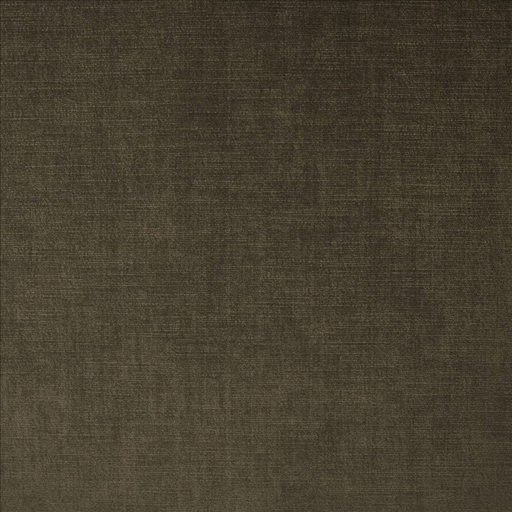 Evermore Coal by Kasmir Designer Fabric 5179 100% Polyester
 INDIA 60,000 Wyzenbeek Double Rubs </p><p>Repeat: Horizontal: N/A and Vertical: N/A 54 - Swanky Fabrics -