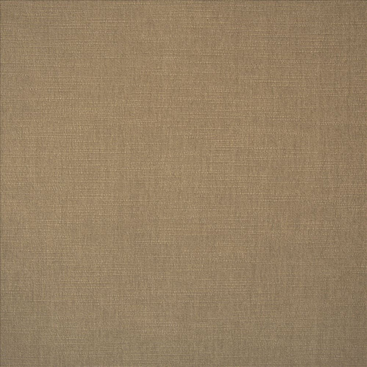 Evermore Khaki by Kasmir Designer Fabric 5179 100% Polyester
 INDIA 60,000 Wyzenbeek Double Rubs </p><p>Repeat: Horizontal: N/A and Vertical: N/A 54 - Swanky Fabrics -