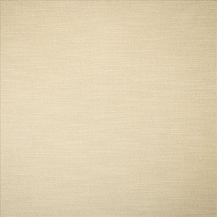 Evermore Moon by Kasmir Designer Fabric 5179 100% Polyester
 INDIA 60,000 Wyzenbeek Double Rubs </p><p>Repeat: Horizontal: N/A and Vertical: N/A 54 - Swanky Fabrics -
