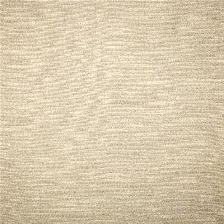 Evermore Moon by Kasmir Designer Fabric 5179 100% Polyester
 INDIA </p><p>Repeat: Horizontal: N/A and Vertical: N/A 54 - Swanky Fabrics -