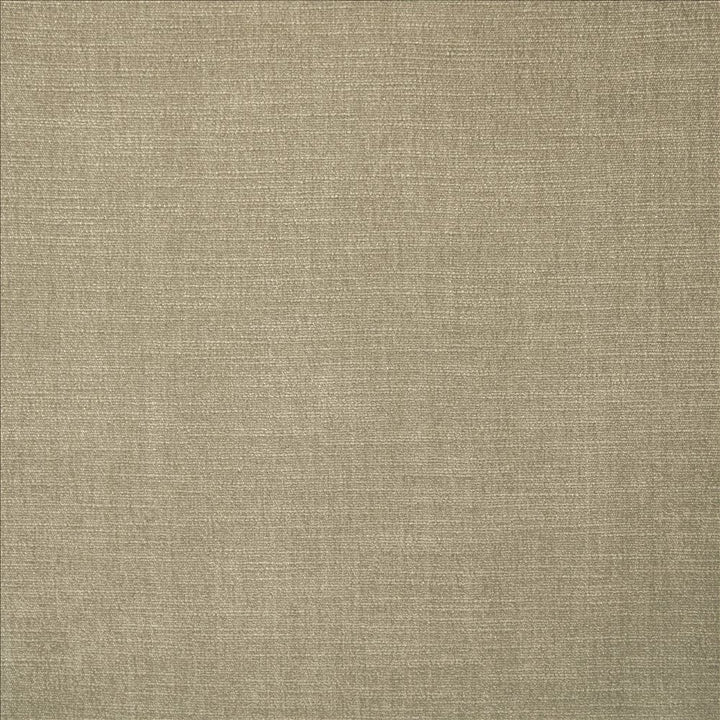 Evermore Silver by Kasmir Designer Fabric 5179 100% Polyester
 INDIA 60,000 Wyzenbeek Double Rubs </p><p>Repeat: Horizontal: N/A and Vertical: N/A 54 - Swanky Fabrics -