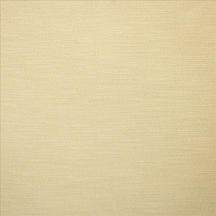 Evermore Vanilla by Kasmir Designer Fabric 5179 100% Polyester
 INDIA 60,000 Wyzenbeek Double Rubs </p><p>Repeat: Horizontal: N/A and Vertical: N/A 54 - Swanky Fabrics -