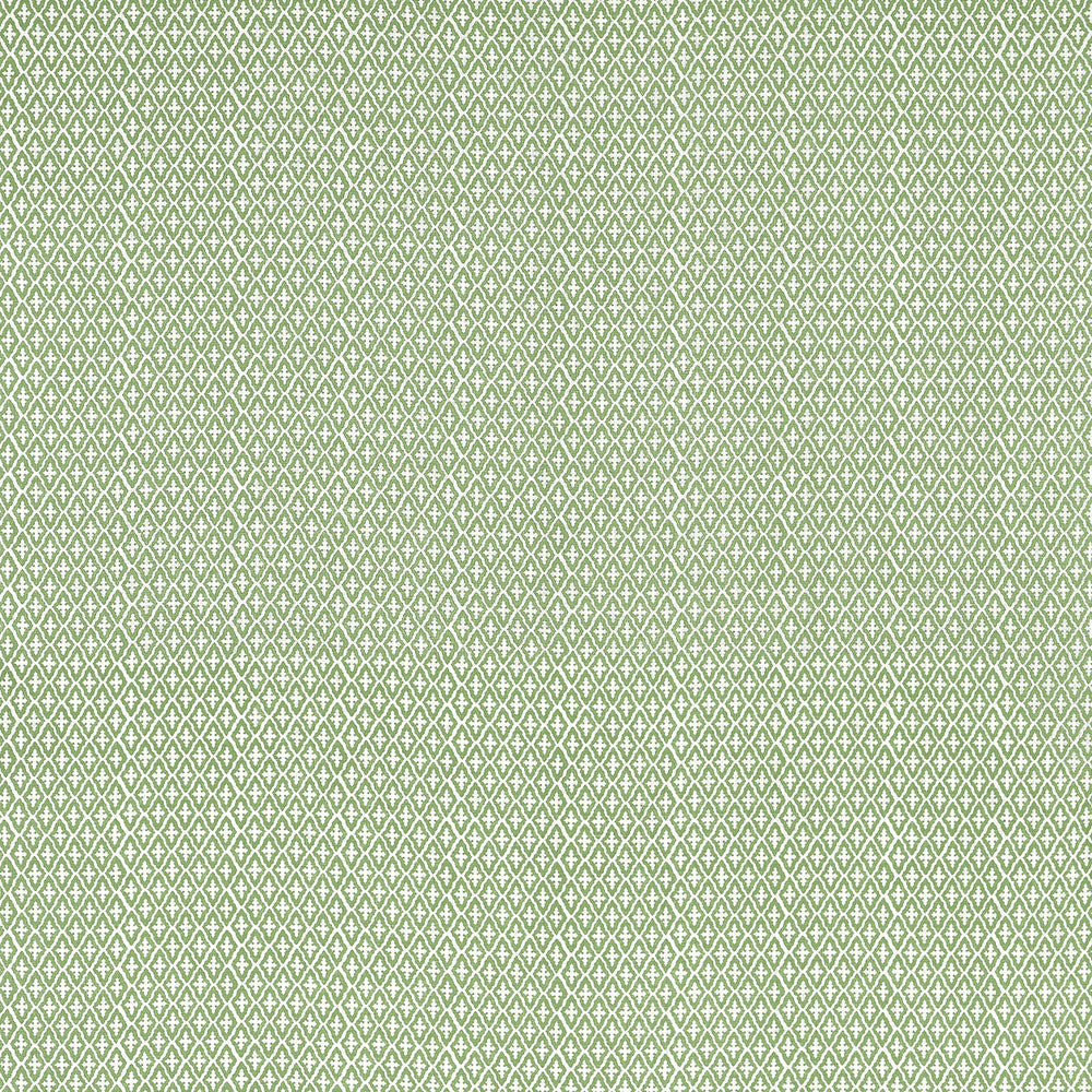 Lindsey Green AF57814 by Anna French Fabric Anna French Fabric Lindsey Green AF57814Fabric Bristol </p><p>Repeat: V: 5.75" (14.61 cm) 54.00" (137.16 cm) - Fabric Carolina -