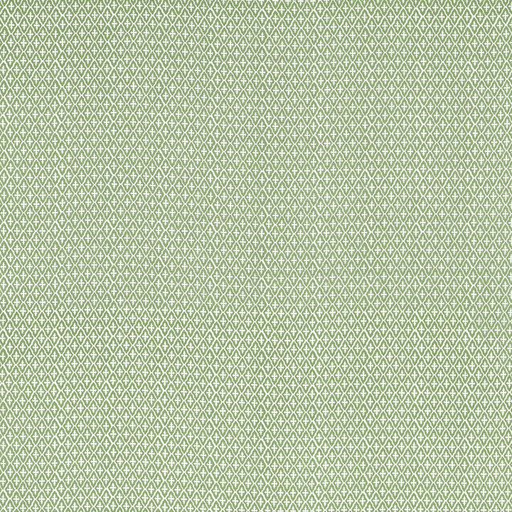 Lindsey Green AF57814 by Anna French Fabric Anna French Fabric Lindsey Green AF57814Fabric Bristol </p><p>Repeat: V: 5.75" (14.61 cm) 54.00" (137.16 cm) - Fabric Carolina -